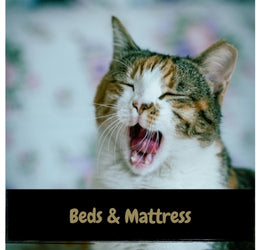 Beds & Mattress