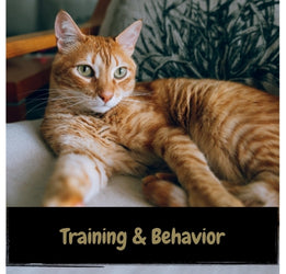 Training & Behavior