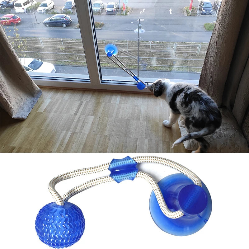 Dog Toys Pet Puppy Interactive Suction Cup Push TPR Ball Toys Molar Bite Toy Elastic Ropes Dog Tooth Cleaning Chewing Supplies